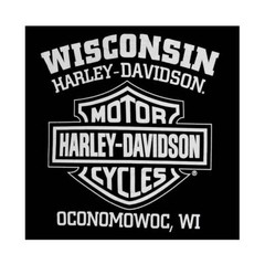 Harley-Davidson Men’s T-Shirt Eagle Graphic Short Sleeve Tee Black Tee 30296656