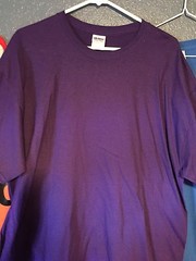 t-shirt To QUILT Human Finish Devine Quilting AQS Fabric custom stitch fat 1/4