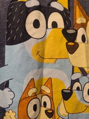 Bluey Family Graphic T-Shirt Men’s XL Blue Cotton Blend Short Sleeve Disney BBC