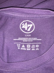 Los Angeles Lakers Short Sleeve T-Shirt Adult Large Purple