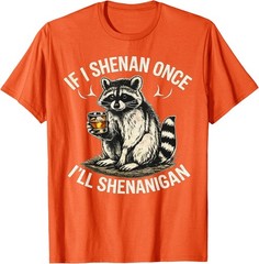 Raccoon If I Shenan Once I’ll Shenanigan Funny Unisex T-Shirt