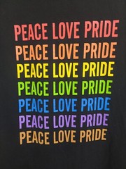 Busboys And Poets Pride Washington DC Large Mens Black Double-sided Logo Tshirt