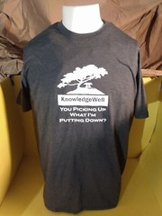 KnowledgeWell YOU PICKING UP WHAT I’M PUTTING DOWN? T SHIRT GILDEN XL