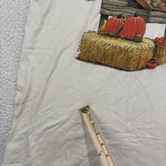 Vintage Fall Farm Stand TShirt Size XL North Carolina Single Stitch Autumn Scene