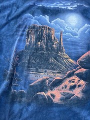 Vintage The Mountain Outdoor Desert Art Graphic Long Sleeve Men’s Shirt XL