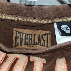 Vintage embroidered Everlast Boxing t shirt 2X