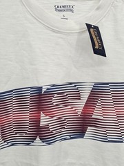 Daniel Cremieux Men’s Large USA T Shirt NEW