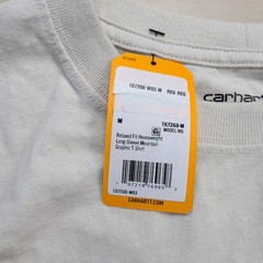 NEW Carhartt Relaxed Fit Heavyweight Long Sleeve T-Shirt Mens M Mountain Graphic