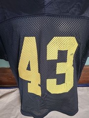 Vintage 90’s Y2K Alleson Athletic Mesh #43 Football Jersey Men’s Size Large/XL