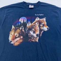 vintage 90s SAN JUAN CAPISTRANO CALIFORNIA 3 WOLF MOON NATURE T-Shirt MEDIUM