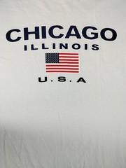 Gildan Chicago Shirt Mens Large White Illinois USA Flag Graphic Tee Patriotic