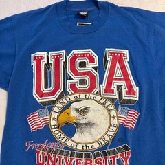 90s Vintage USA Freedom University single stitch tee