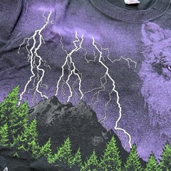 Vintage 90s Wolf T Shirt Mens L Single Stitch Made In USA Fruit Of Loom