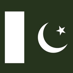 Pakistan Flag Country Home Souvenir National Pride T Shirt – Forest