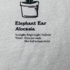 Men’s Old Navy Soft-Washed Crewneck Graphic T-Shirt SMALL Sea Salt NEW TAG