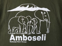 VTG Amboseli National Park Adult L Cropped Shirt Home of Elephants Kenya Africa