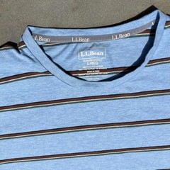 Light Blue Heather Varied Stripe Pima Cotton T-shirt