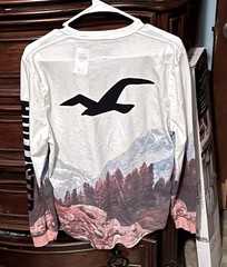 Mens Medium Multicolor Y2K Hollister Long Sleeve Graphic T-Shirt!