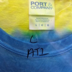 Port & Company T-Shirt Mens Large Multi-Color Tie-Dye Spiral Neon Retro Tee
