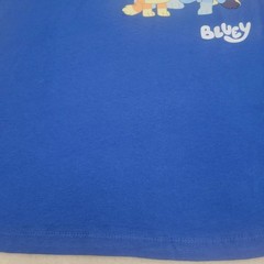 Lot Of 2 Bluey XX Large NWT. Bluey, Bandit, Chilli & Bingo Womens T-Shirt