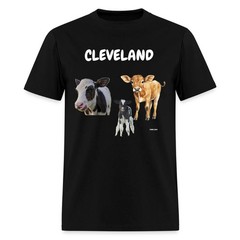 CAVS