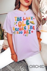 Final Fiesta Bachelorette Party Comfort Tee