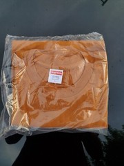 Supreme Bible Tee in Burnt Orange FW19 Deadstock/ religion pope hands jesus