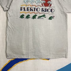 Vintage 70s Frogs Puerto Rico Tshirt Large Flag Sunset Retro Beach Single Stitch