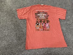 Comfort Colors Shirt Mens Medium Pink Lambda Chi & Sigma Chi Fallfest 2016 Tee
