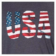 GALT USA Signature Men’s Graphic Tee T Shirt Printed Flag, Gray, Size XL