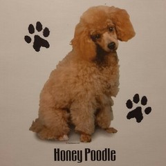 HONEY POODLE DOG BREEDS PROFILE DESIGNS SHIRT (FRONT PRINT ONLY)