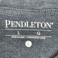 Pendleton T Shirt Mens L Gray Long Sleeve Bison Logo Crew Neck Lightweight Tee
