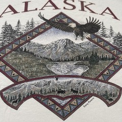 Vintage Alaska Shirt Mens XL White Eagle Mountain Wildlife Delta Graphic Tee