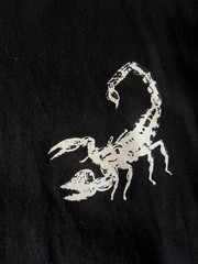 Drake Merch Scorpion Shirt Mens Large Black Long Sleeve Rap OVO Iceman Concert