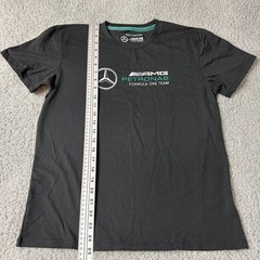 Mercedes AMG Petronas F1 Mens Graphic T-Shirt Black Size M