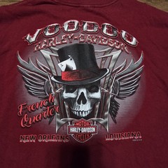 VTG Harley Davidson Shirt XL Y2K Long Sleeve Skull Graphic 2012 Louisiana