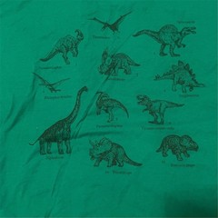 Machine Wash Cold T-Shirt Unisex Adults Size L Green Dinosaur Chart