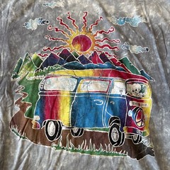The Mountain Grateful Dead Bus Shirt, Brand New Different Colors, Men’s Sizes