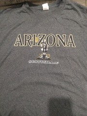Classic Lot Of 2 Scottsdale AZ Cotton T Shirts 2XL, Gildan & SUNA Gray
