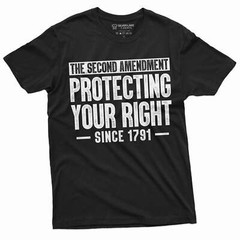 2nd Amendment protecting your rights since 1791 T-shirt second gun rights tee