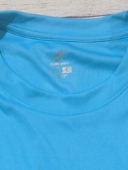 Champion Mens Short Sleeve Crew Neck Stylish Plain Blank T-Shirt BLUE LARGE