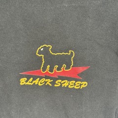 USAF 8th Fighter Squadron Black Sheep F-117 Stealth Jet T Shirt Hanes Small Tee