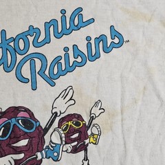 Vtg Stained 1987 3xSun Large White California Raisins “Dancing Aerobics” T-Shirt