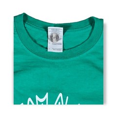 Gildan Team Alien paranormal pop culture Green T Shirt Men’s Size Large