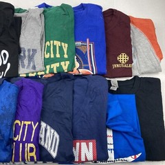Wholesale Lot of 16 Mixed Theme Long/Short Sleeve T-Shirts Sizes in Desc