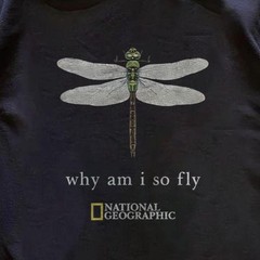 Vintage National Geographic “Why Am I So Fly” Tee