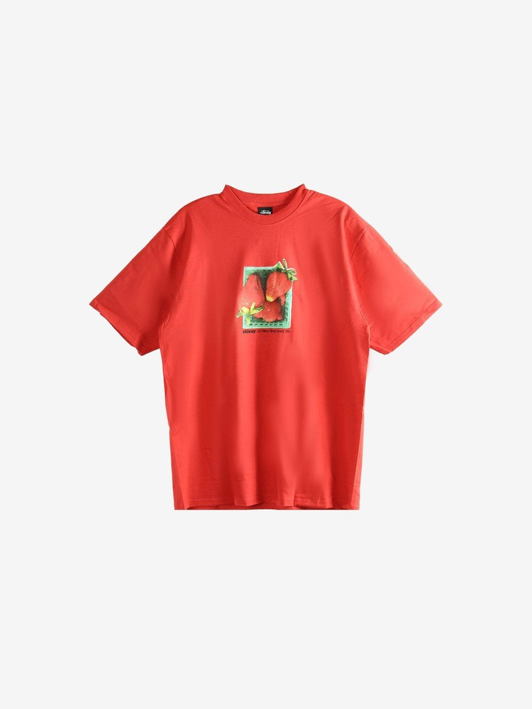 STUSSY – Men Berries Tee
