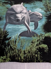 Vtg Radical Nature Dolphin Shirt Mens Medium Kona Hawaii Ocean Destination Tee
