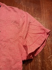 Hollister Men’s Salmon Must Have Collection Curved Hem T-shirt Size Large