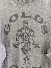 Gold’s Gym Mens Muscle Bodybuilding T Shirt Sleeveless Gray XL RARE